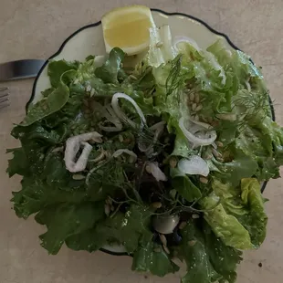 Simple Green Salad