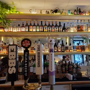 Bar Vibes