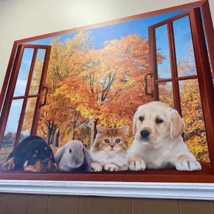 Photo above my table.