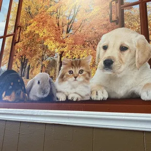 Photo of animals above my table. Aren't they adorable?