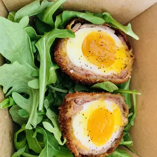 Scotch egg