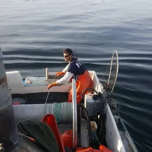 Salmon slinger catching Alaskan spot prawns