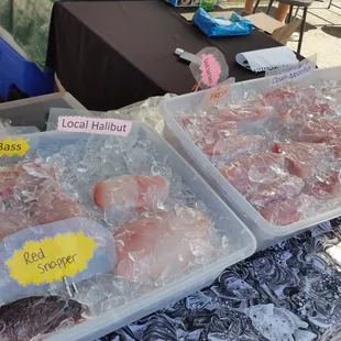 Today&apos;s fresh catch displayed at Little Italy market