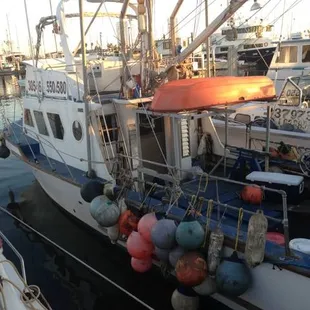 New boat in San Diego located in Driscoll&apos;s Wharf