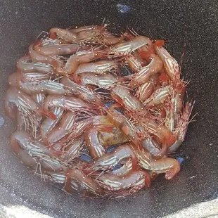 Wild Alaskan Spot Prawns