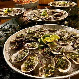 oysters, food, shellfish, oysters and mussels, mussels