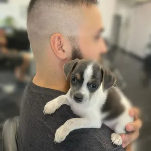 Mens haircuts
