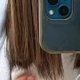 Just chunks of missing hair.