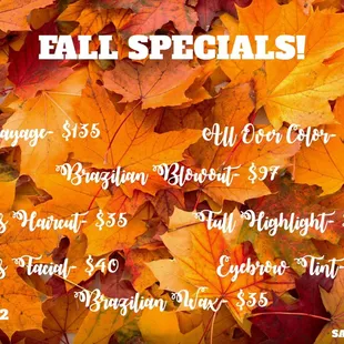 Fall Specials!