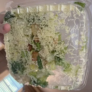 Caesar Salad