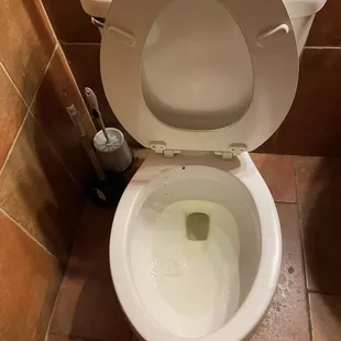 a toilet with the lid up