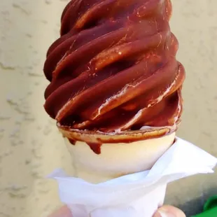 small chocolate dipped in chocolate