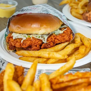 a sandwich and fries