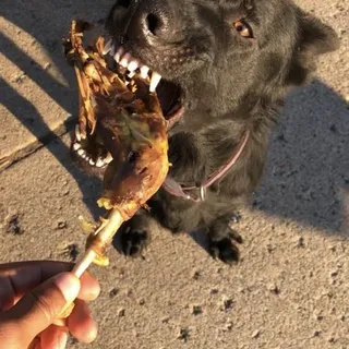Sumbalgreendog ..