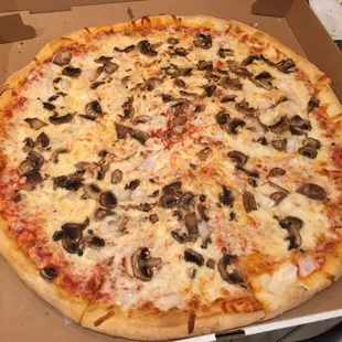 Large Mushroom &amp; Onion