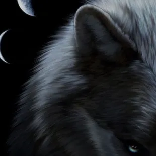 This was a screen shot when I saw their car drive last our house.