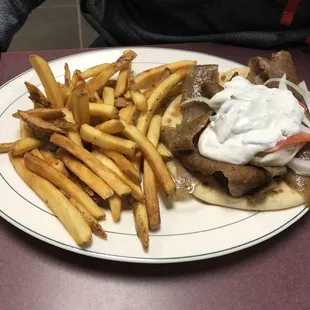 Gyro with fries