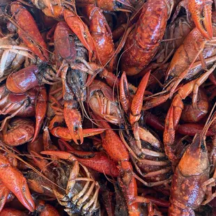 Sal's Seafood