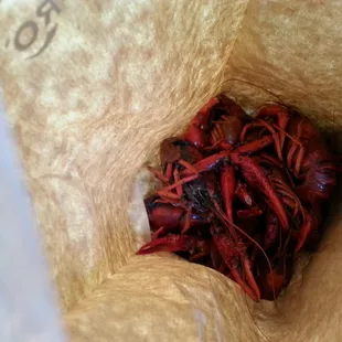 Sad excuse for "hot boiled crawfish"