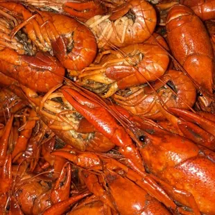 It's that time of the year again...!!!!!