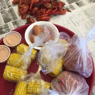 Amazing Crawfish!