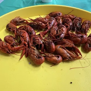 Boiled Crawfish