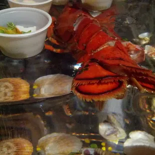 Real lobster in the ice block!