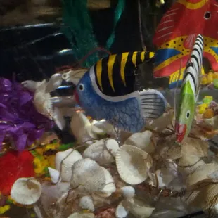 Fishies in the ice aquarium!