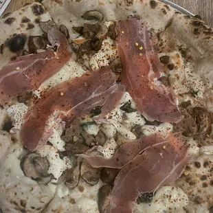 FUNGHI