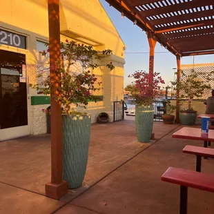 Patio seating at Salsa Verde
