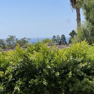 outside