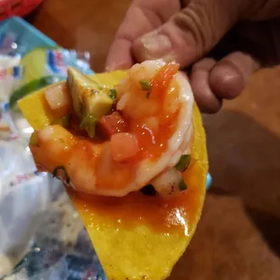 The shrimp in the shrimp cocktail are not small, at all! Very fresh.