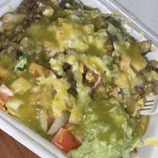 Carne asada fries