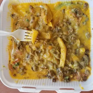 This is what we were served.we ordered Carne Asada Fries. Customer service was horrible. Nasty food