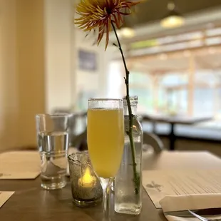 Mimosa