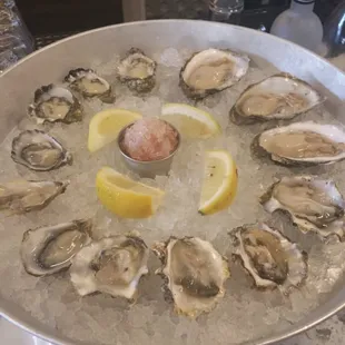 Fresh Oysters