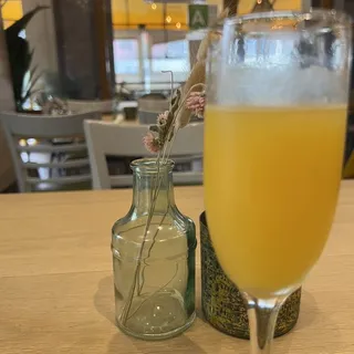 Fresh Squeezed Orange Juice