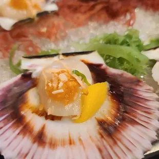 Close-Up of the Peruvian Scallop with Habanero Confit, Toasted Coconut, Mango, &amp; Micro Cilantro  02-06-2024