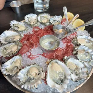 Kumamoto Oysters