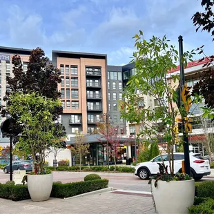 In the heart of the Totem Lake Shopping and next to the fire pit seating.