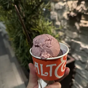 Single scoop (half Honey Lavender &amp; half Strawberry Coconut Water Sherbet (v))