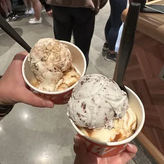 Freckled Mint Chocolate Chip (v)