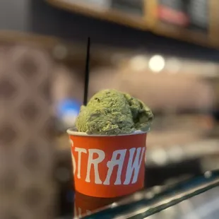 Don Bugito&apos;s Creepy Crawly Critters