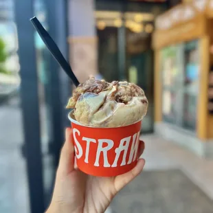 Salted Malted Chocolate Chip Cookie Dough