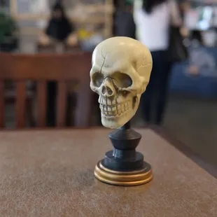 a skull on a table