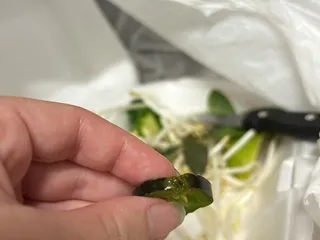Pho 88