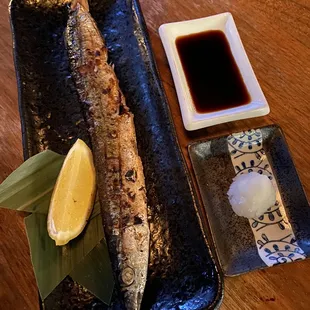 Pike mackerel