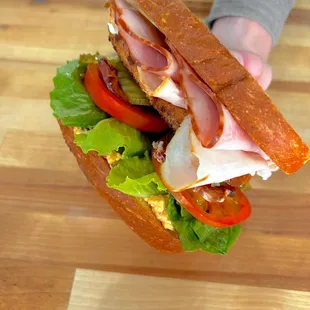 a person holding a sandwich