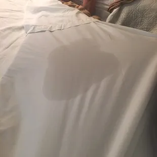 Urine found in our bed sheets