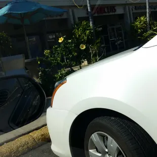 Hard pic. But.. here u go. Salt lake !!!